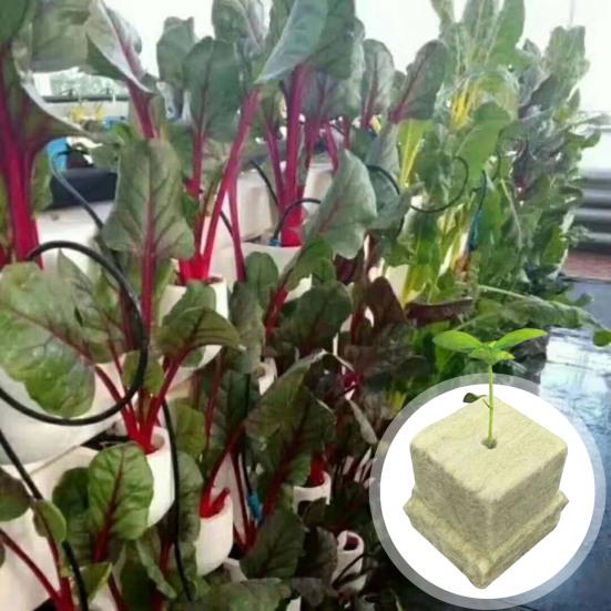 50 шт. Кубики для посадки из минеральной ваты, Кубики для выращивания растений из минерального волокна, Впитывающие, Дышащие губки для выращивания рассады, Гидропоника, Беспочвенное выращивание