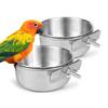 Parrot Stainless Steel Food and Water Cup
