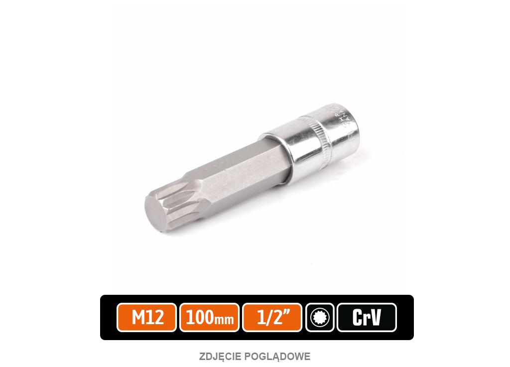 Klucz Nasadowy 1/2" Z Bitem Spline 100 Mm/M12 / Teger