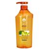 Fong Wah Ginger Hair Strengthening & Anti-Breakage Shampoo
