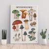 Woodland Mushroom Botanical Abstract Posters Prints Wall Art Canvas Painting Nordic Modern Kitchen Picture For Living Room Decor