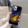 Bosna i Hercegovina Heart Mobile Phone Cases Cover For iPhone 17 Air 16 15 14 12 13 11 Pro MAX apple Plus SE2020 Coque
