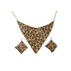 Шарф с треугольными блестками и леопардовым принтом, ожерелье и серьги: Ретро, сексуальная и трендовая мода высокого класса.