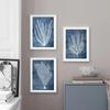 Navy Blue Sea Coral Seaweed Wall Art Canvas Painting Nordic Posters And Prints Beach House Wall Pictures For Living Room Decor