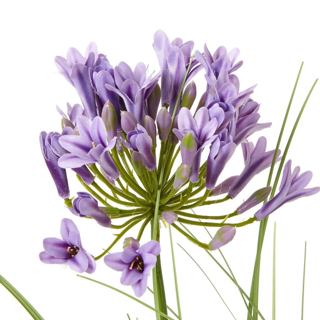 Hill Interiors Agapanthus Plant Pot