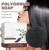 SYLVERA Шампунь-брусок Polygonum Multiflorum – Шампунь-стик против седины и для чернения волос – Стимулирует рост волос, Защищает от выпадения волос – Увлаж