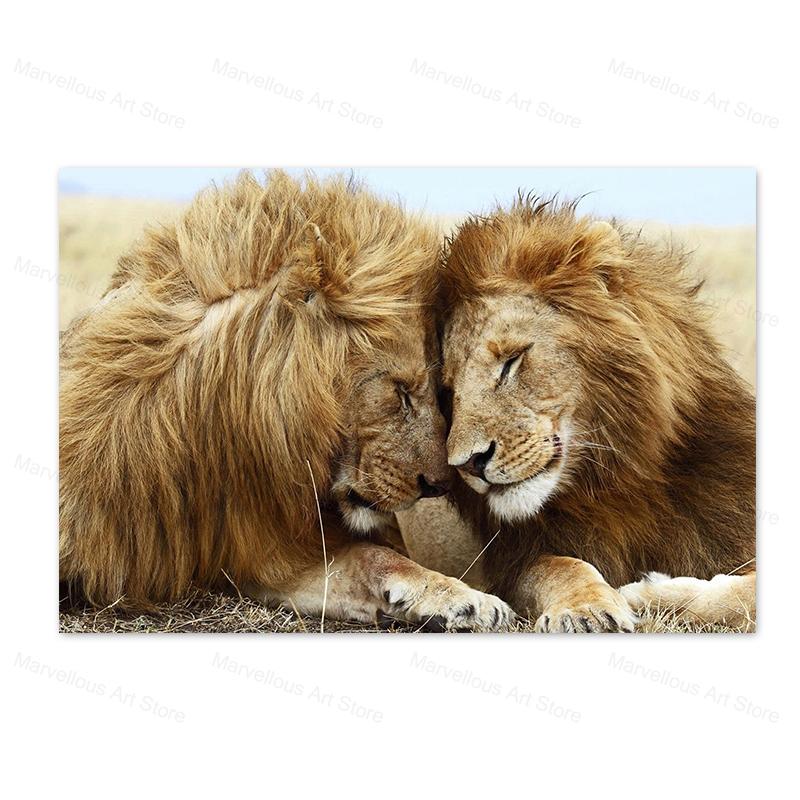 Черно-белые львы, картины на холсте на стене, художественные постеры и принты, африканские животные, голова к голове, картина Куадрос, домашний декор