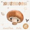 Книга Mushroom