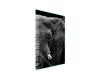 GLASS CUTTING BOARD 35x52 Elephant