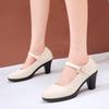 Fashion French Style High Heels Women's Comfortable Thick Heel Buckle Flag Dress Soft Bottom Single Shoes round Toe Mid Heel Summer