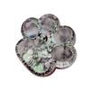 Clear Cat Paw Squeeze Toy Anxiety Stress Relief Glitter Kitten Paw
