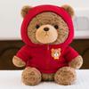 Teddy Cute Bear Plushie Plush Toy Warm Sweater Rose Velvet Children Gift Doll