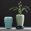 Orchid Ceramic Flower Pot with Trailing Branches for Desktop Landscaping