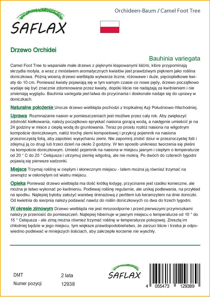 SAFLAX Дерево верблюжьей лапки - 8 семян - Bauhinia variegata