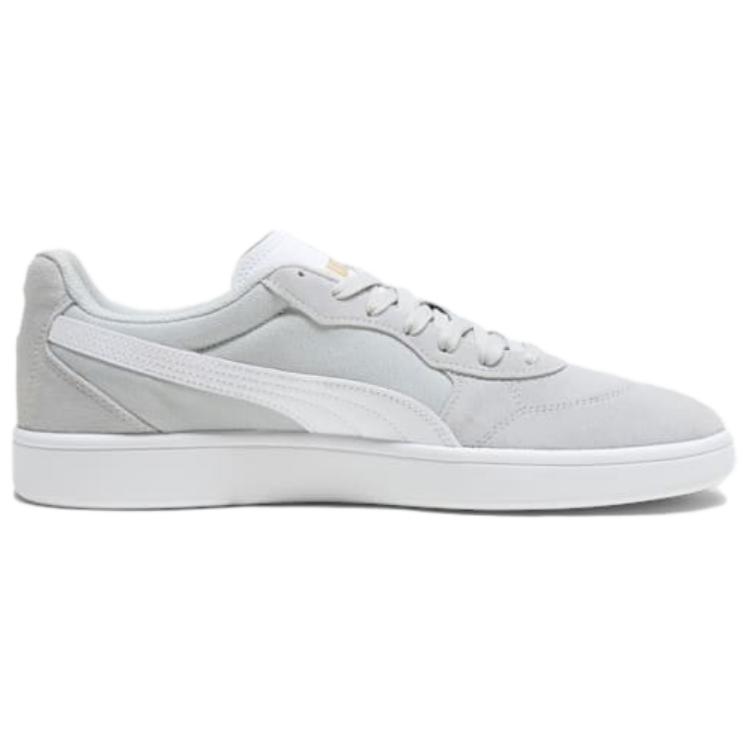 Puma Astro Устойчивые к истиранию Низкие Скейтбордические кроссовки Мужские Серый 401439-05