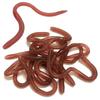 10Pcs Stretchy Earthworm Prank Toy Realistic Long TPR Worm Earthworm Simulated Wiggly Kids Tricky Props Adults Halloween