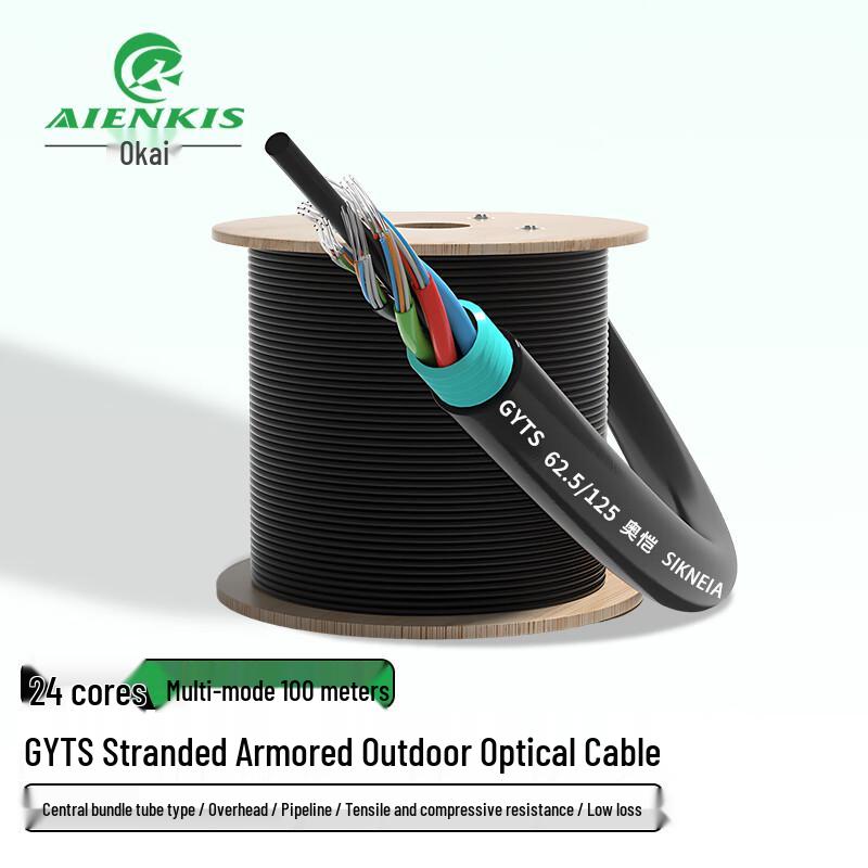 AIENKIS Outdoor Armored Multimode Fiber Optic Cable
