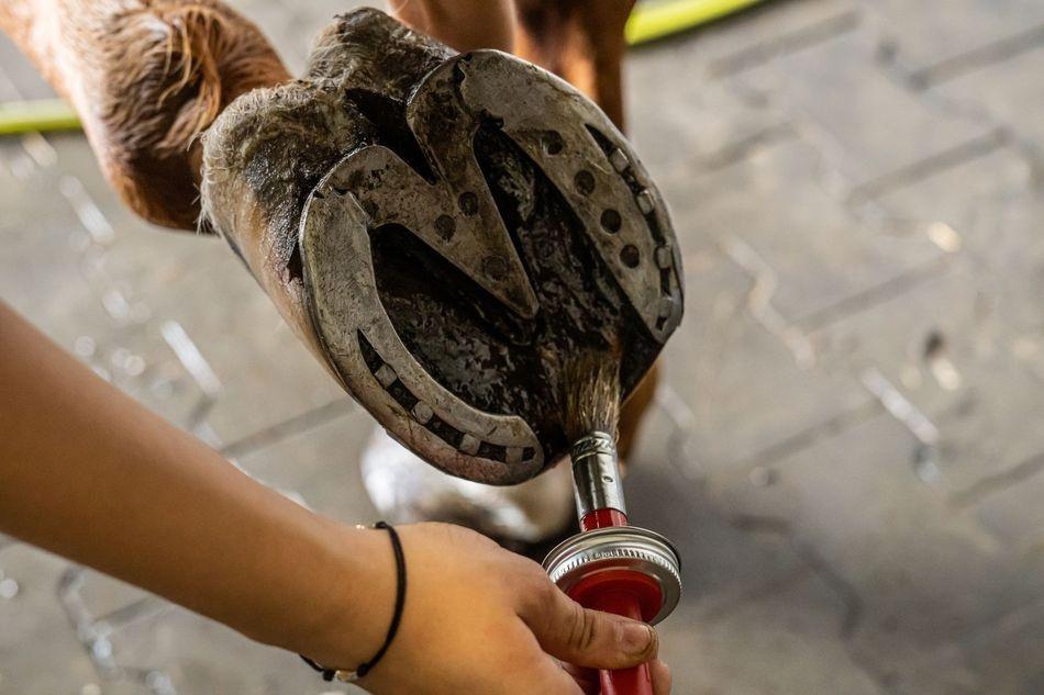 Doctor Horse Mocne Kopyta Hoof Oil