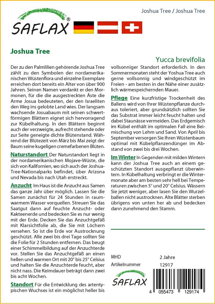 SAFLAX Дерево Джошуа - 10 семян - Юкка коротколистная