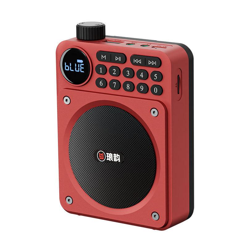 Мини Цифровое FM Радио HD Дисплей 76-108 МГц Радио Беспроводной Bluetooth 5.3 Динамик Портативный Усилитель Голоса с Слотом для TF-карты USB