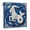 Handmade Faux Pearl Painting Kit DIY Kit 12 Zodiac Signs Rhinestone Art Set for with Wooden Frame Adults Beginners Fake Wall Decoration