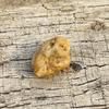 CERTIFIED Natural Uncut Opal Raw Rough 58.65 Ct Loose Gemstone For Collection