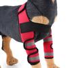 Double Joint Dog Elbow Protector Small Dogs Surgery Injury Anti-Lick Leg Sleeve Knee Wrap