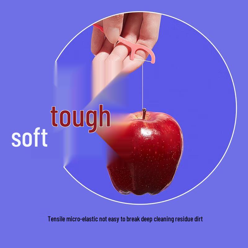 Dr. Bei Dental Floss Sticks