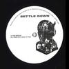12-дюймовая пластинка SETTLE DOWN - Special / Twos On A Pack of 10 SDWN002 Settle Down 2024 UK Dance & Electronica