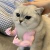 Горячие Смешные Пальцы Кота Мышечные Руки Легкие Реалистичные Косплей Кота Мышечные Руки 3D Печать Костюм Кота Хэллоуин Вечеринка