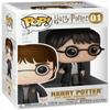 Harry Potter Action Figures