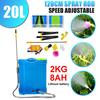 20L 220V Agricultural Spray Equipment Backpack Garden Intelligent Sprayer Knapsack Battery Cordless Adjustable Speed