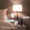 Умный WiFi-переключатель стандарта США с голосовым управлением и удаленным управлением через приложение