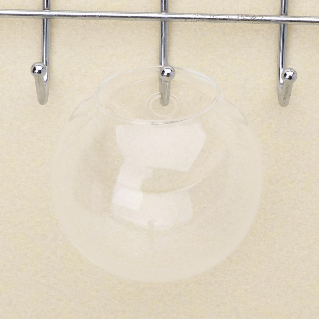 Стеклянная Ваза Настенный Гидропонный Террариум Аквариумы Горшечные Растения Цветочный Горшок