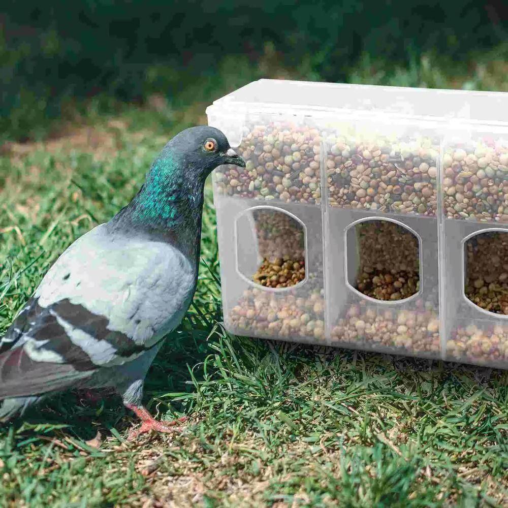 Detachable Pigeon Feeding Box ABS Bird Food Container Bird Automatic Feeder Bird Supplies