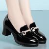 Spring New Square Heels Metal Chain Pumps Women Soft Leather Shoes Fashion Slip On Chunky Heel Casual Mary Jane Shoes Office Mom