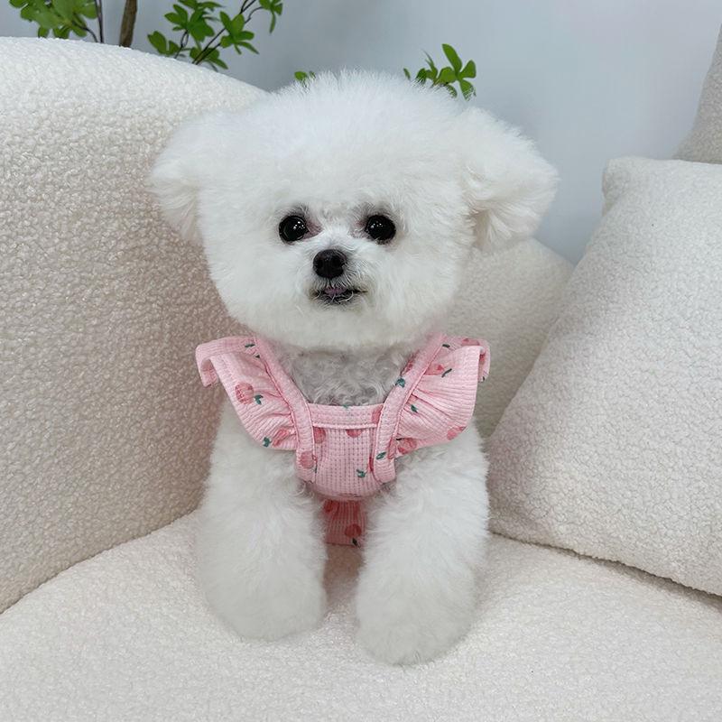 Dog Pet Clothes Spring Autumn Summer Suspender Teacup Dog Bigbear Teddy Dog Puppy Cat Princess Vest Thin