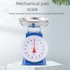 Carbon Steel Mechanical Scale 10Kg/20Kg/30Kg Spring Scale New Dial Scale Commercial