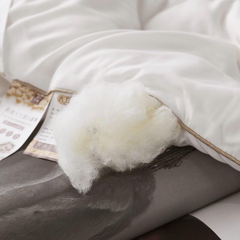 Premium Soy Fiber Antibacterial All-Season Quilt