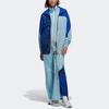 adidas Asmc Sw Tp однотонные повседневные длинные брюки с боковой молнией и разрезом, женские плавки, арктический ледяной синий HD9136