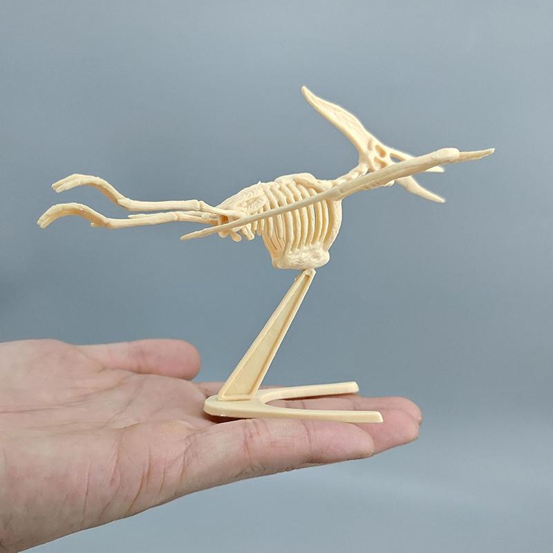 1 Набор Детская Игрушка Сделай Сам Сборка Юрский Динозавр Ископаемый Скелет Мозазавр Тираннозавр Коллекция Фигурок Креативная Модель