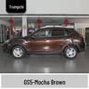 Карандаш-подкраска GAC Trumpchi GS5 цвета Слоновая кость Белый для ремонта царапин на автомобиле