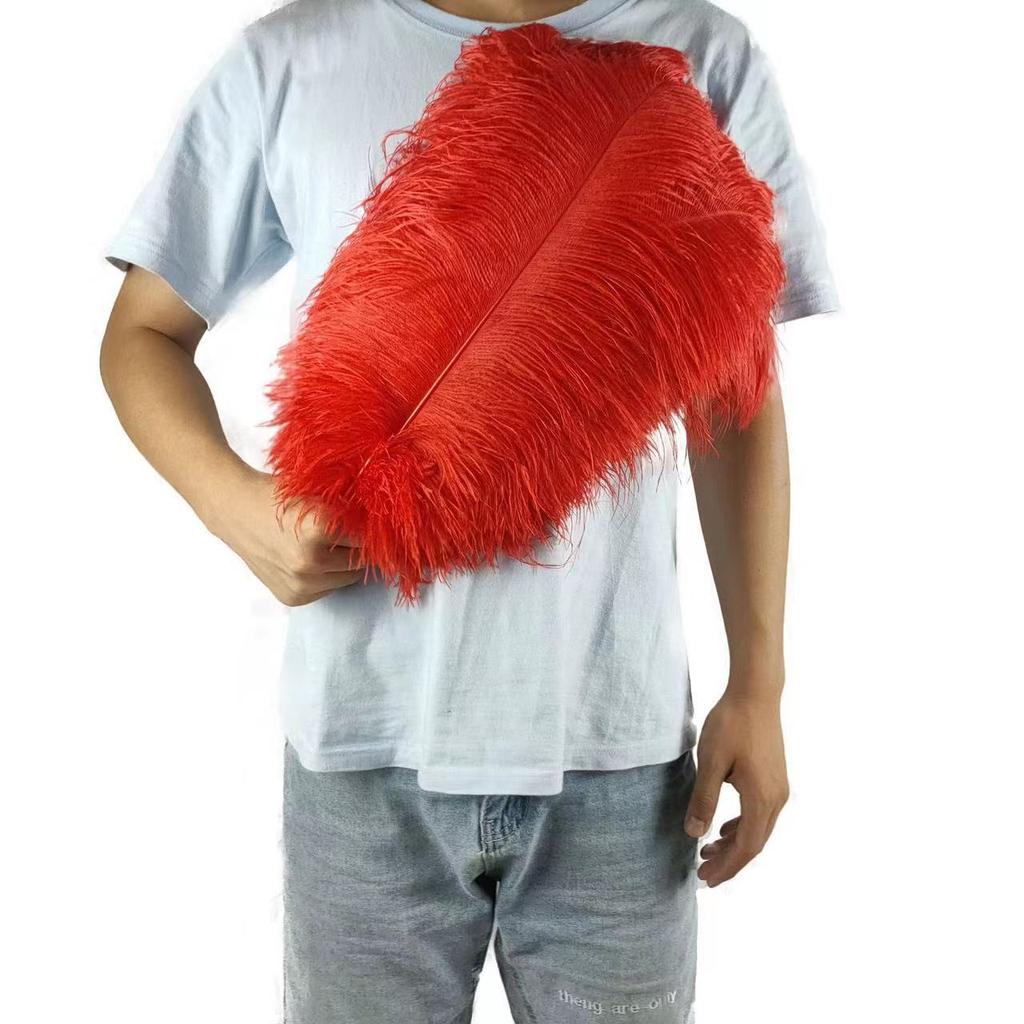 10PCS 45-50cm Colorful Big Feathers Ostrich Table Flower Table Flower Wedding Decoration Ostrich Feathers