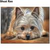 Йоркширский терьер собака Алмазная картина 3d Алмазная вышивка милые фотографии домашних животных со стразами