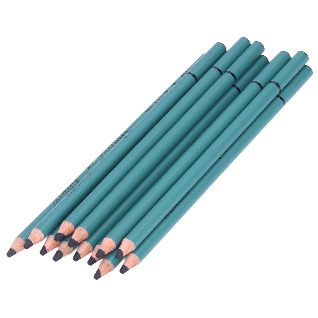 12Pcs Charcoal Pencils Flexible Write Smoothly Easy To Use Charcole Art Supply for Detailed Drawing