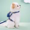 Dog Training Backpack Cute Saddles Bag and Leash for Traveling Travel Camping Camping Dog Saddles Bag Supplies