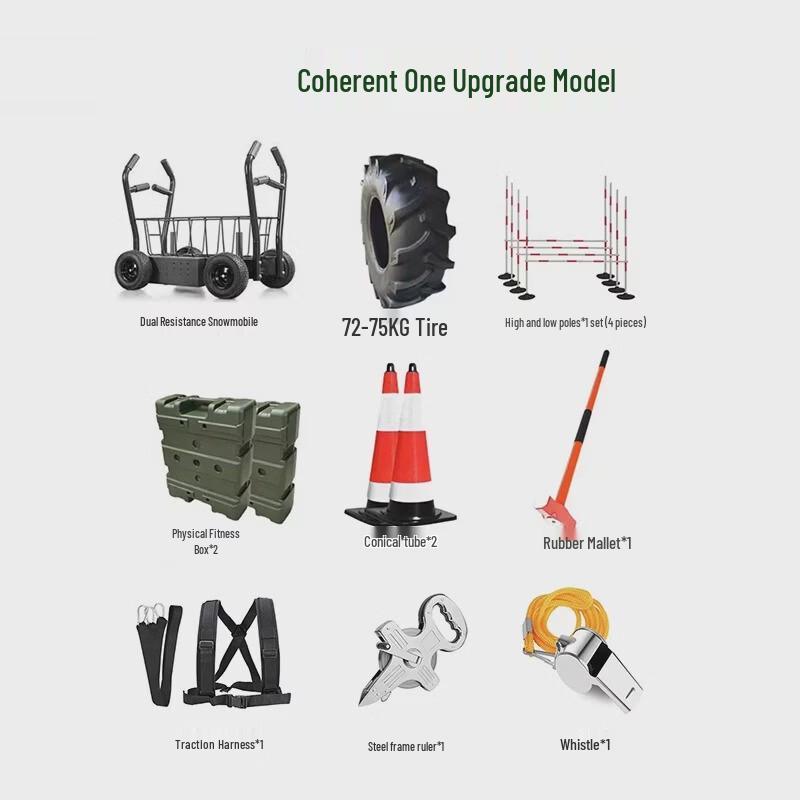 MDNG Physical Training Assessment System