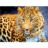 Алмазная мазайка, живопись леопард
