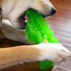 Crocodile Dog Slow Feed Toy Food Hiding Puzzle Feeder Chew Toy for Dogs Teeth Cleaning Training Interactive Pet Toy Reduce Bloat