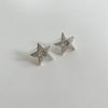 Salted Glow Star Earring